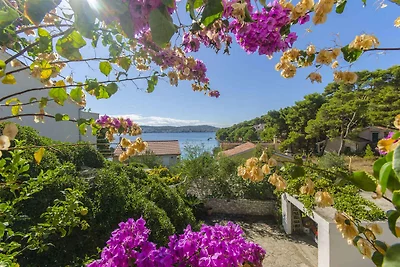 Ferienwohnung mit Klimaanlage und Grill