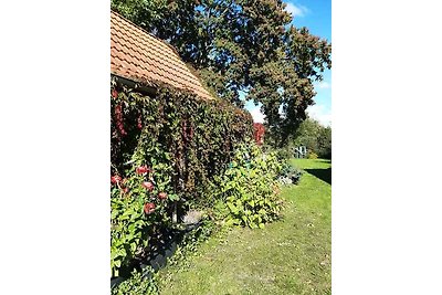 Ferienhaus mit Garten und Terrasse, 800 m zum