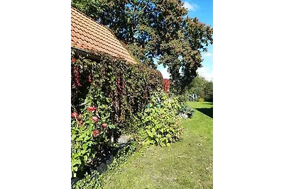 Ferienhaus mit Garten und Terrasse, 800 m zum