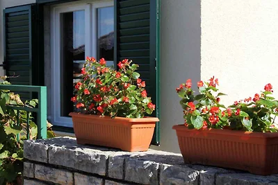 Appartamento Vacanza con famiglia Žaboric