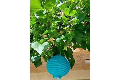 Studio mit Balkon und Internet