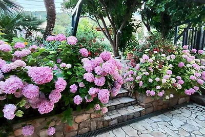 Ferienhaus mit Terrasse und Grill