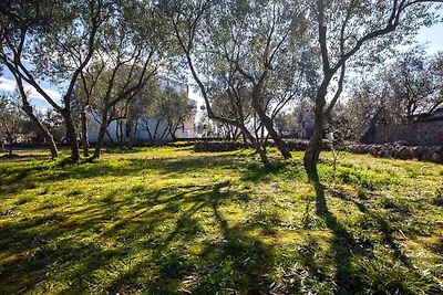 Ferienwohnung mit einem Schlafzimmer