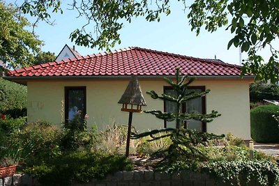Bungalow Ferienhaus mit Terrasse und Garten