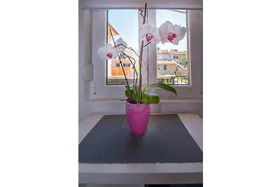 Ferienwohnung Andrej studio A2
