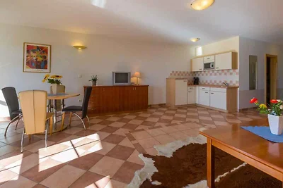 Vakantieappartement Gezinsvakantie Crikvenica