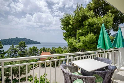 Holiday flat family holiday Smokvica
