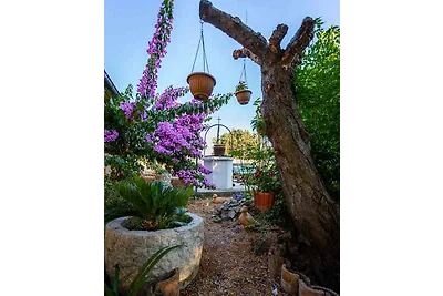 Gemütliches Gartenhaus in Mundanije auf der I