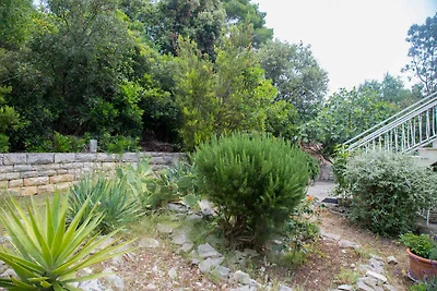 Holiday flat family holiday Smokvica