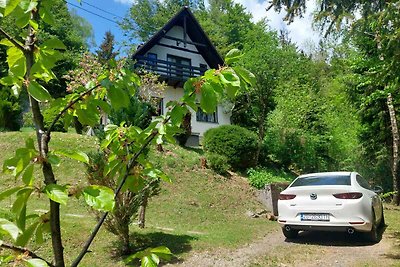 Ferienhaus mit Terrasse und grossen Garten