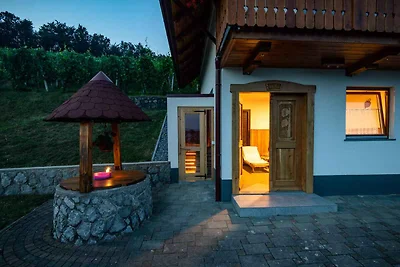 Ferienhaus auf dem Weinberghügel in der Nähe 