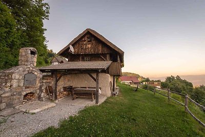 Holiday home relaxing holiday Otočec