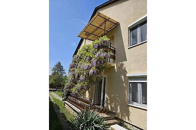 Vakantieappartement Gezinsvakantie Balatonföldvár