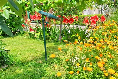 Ferienwohnung mit Terrasse
