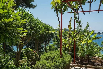 Ferienwohnung Gardenia B4