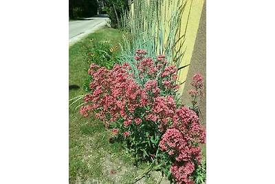 Ferienwohnung mit Grill und Gartenpavilion