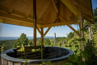Ferienhaus mit Sauna und Weinkeller