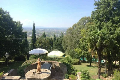 Villa umgeben von Olivenhainen und Pinienwald