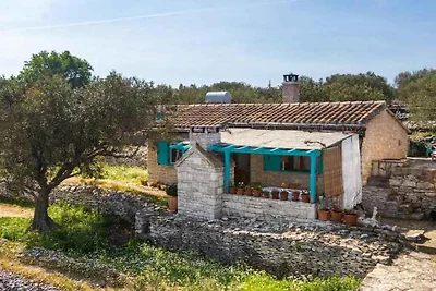 Vakantiehuis Ontspannende vakantie Vela Luka