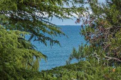 Vakantieappartement Gezinsvakantie Dajla