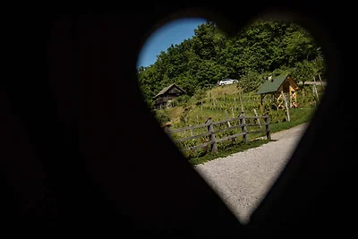 Ferienhaus mit Sauna und Weinkeller