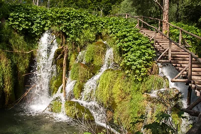 Ferienwohnung Unterkunft in der Natur