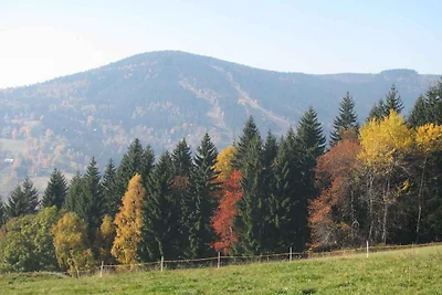 Ferienhaus mit Sauna und Kamin