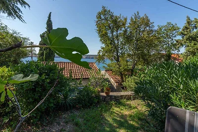 Appartamento Vacanza con famiglia Biograd na Moru