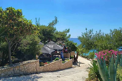 Appartamento Vacanza con famiglia Primosten