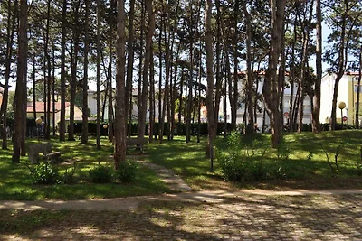 Ferienwohnung mit Klimaanlage und Balkon