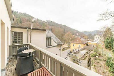 Vakantieappartement Gezinsvakantie Bad Schandau