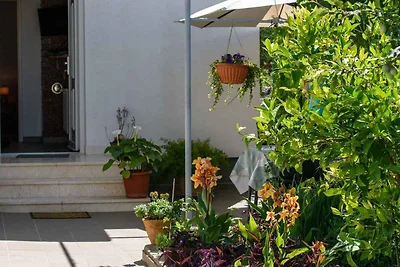 Ferienwohnung mit Terrasse