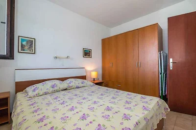 Appartamento Vacanza con famiglia Drašnice