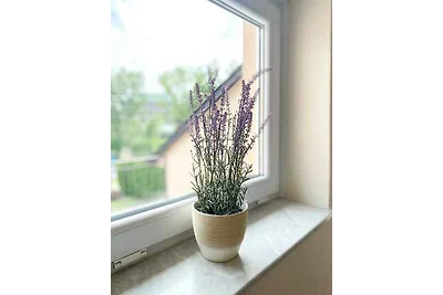 Vakantieappartement Gezinsvakantie Heviz