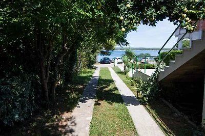 Casa vacanze Vacanza di relax Pašman, Tkon
