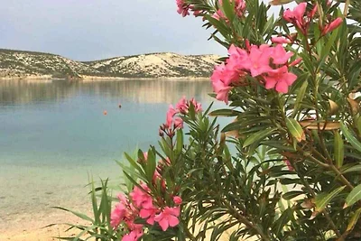 Appartamento Vacanza con famiglia Stara Novalja