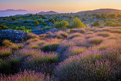 Appartamento Vacanza con famiglia Stari Grad