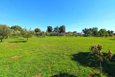 Ferienhaus mit Klimaanlage und Pool