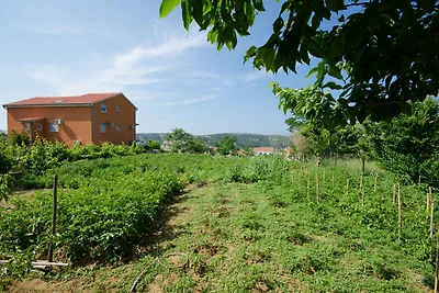 Apartamento Vacaciones familiares Lopar