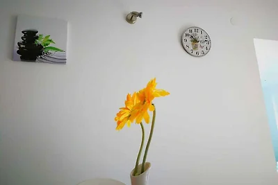 Vakantieappartement Gezinsvakantie Lokva Rogoznica