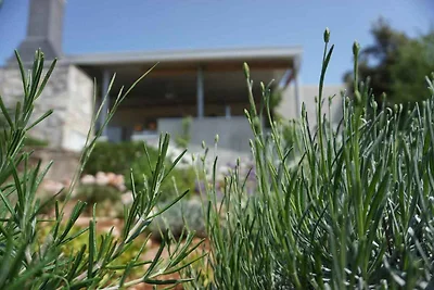 Ferienhaus mit Klimaanlage und Terrasse