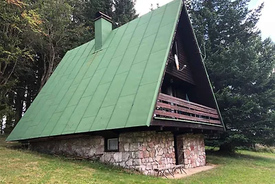 Ferienhaus mit Sauna und Kamin