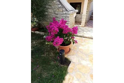 Apartament Dla rodzin Funtana