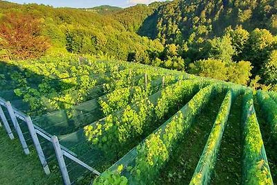 Vakantiehuis Ontspannende vakantie Slovenië