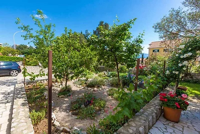 Appartamento Vacanza con famiglia Crikvenica