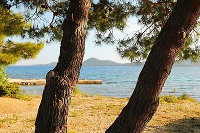 Vakantiehuis Ontspannende vakantie Biograd na Moru