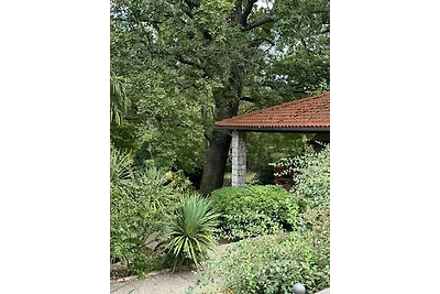 Ferienhaus Gemütliches Haus mit 3 Schlafzimme