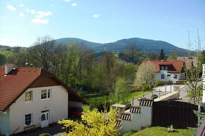 Ferienwohnung mit Terrasse (25 m2)