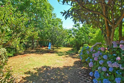 Vakantieappartement Gezinsvakantie Premantura