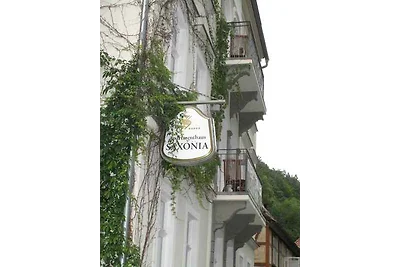 Vakantieappartement Gezinsvakantie Bad Schandau